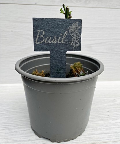 Slate plant marker - slate,