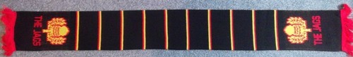Partick thistle scarf - fc,