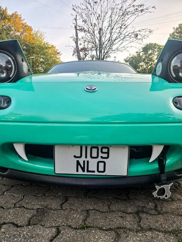 Removable car teeth - clips, mx5