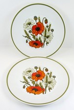 J & G Meakin Dinner Plates