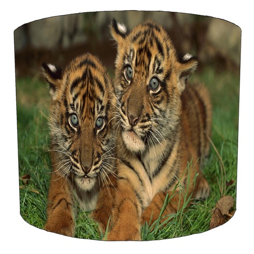Tiger big cat lampshade - tiger,