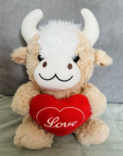Highland cow valentines love - highland,