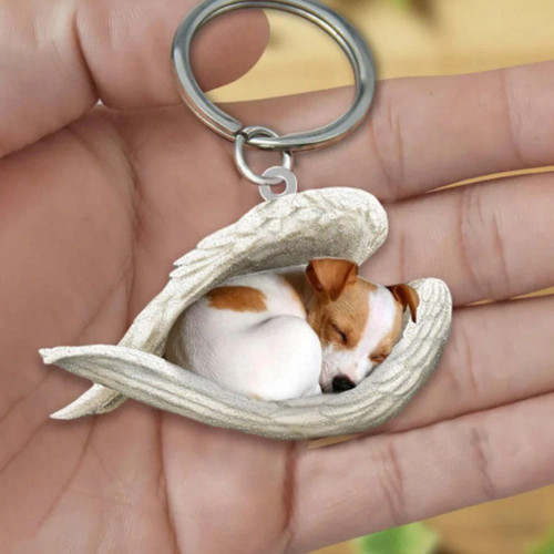 Cat dog sleeping angel acrylic - dog,
