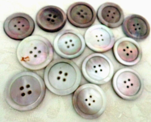 Mixed lot abalone shell - of,