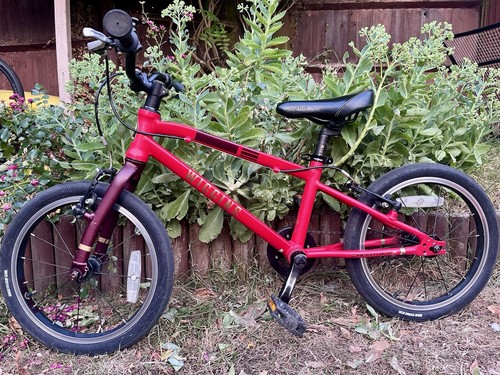Wiggins chartres kids bike - kids,