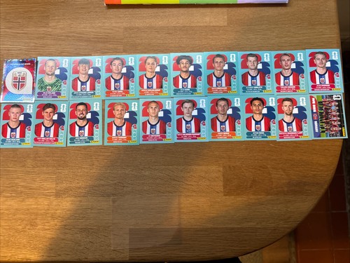 Panini fifa world cup - world,