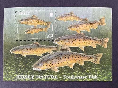 Jersey 2010 mnh - jersey,