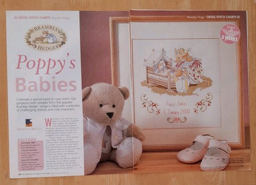 Brambly hedge birth - hedge, sampler