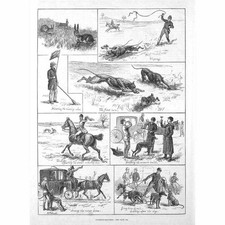 Scenes at a Coursing Match by ST Dadd - Antique Print 1882