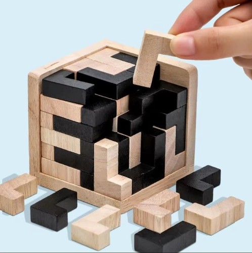 Intelligence wooden toy iq - toy, 3d