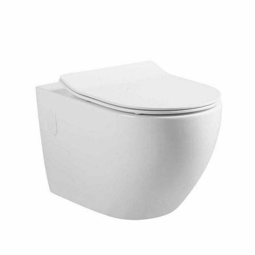 Rimless flushing wall hung - flushing,