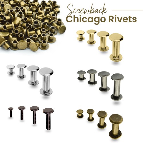 50pcs brass chicago - brass,