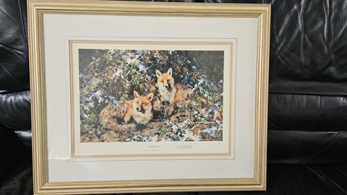 Winter foxes david - by, shepherd