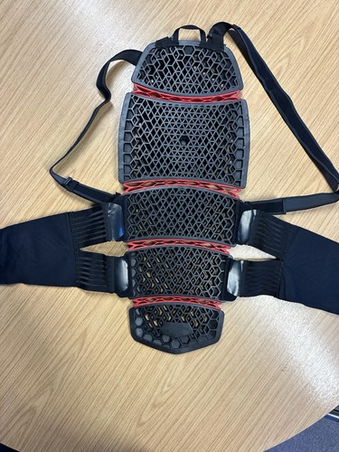 Dainese back spine protector - dainese,