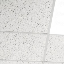 Suspended White Ceiling Office