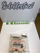 1 screw neiman kawasaki