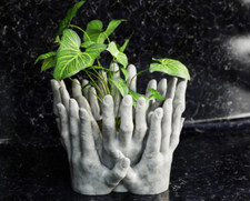Plant Pot / Vase / Home Decor