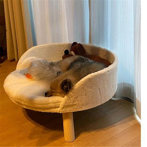 Pet sofa bed - sofa, chair