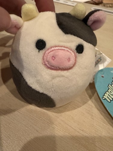 New squishmallows mallowmees - new,