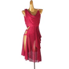 Latin Dance Dress Salsa Tango