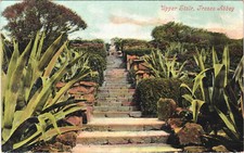 Upper Stair Tresco Abbey