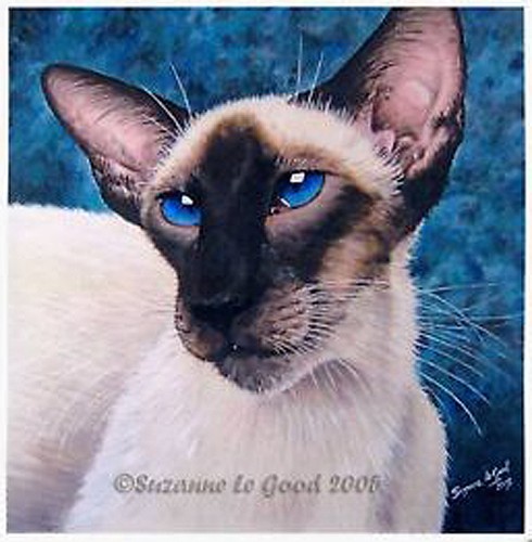 Large limited edition siamese - limited,