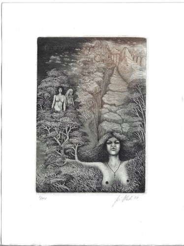 Jiri vlach exlibris - jiri, vlach:
