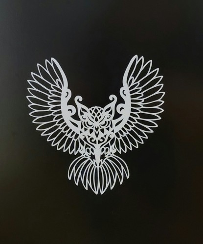 Owl owls vinyl decal car - owl,