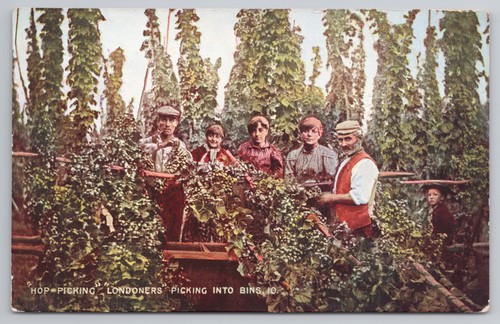 Hop picking londoners - hop,