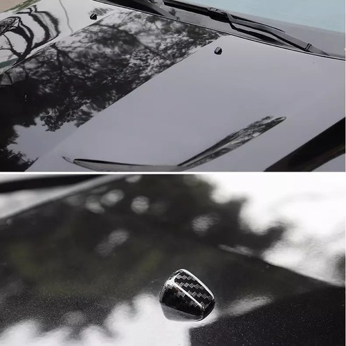 Carbon fiber front wiper water - carbon,