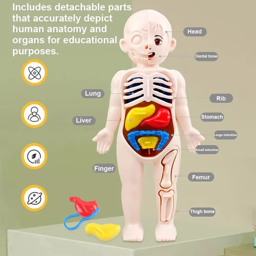 Children science education - children,