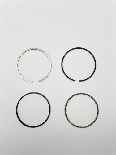 Pit bike new piston rings - bike,