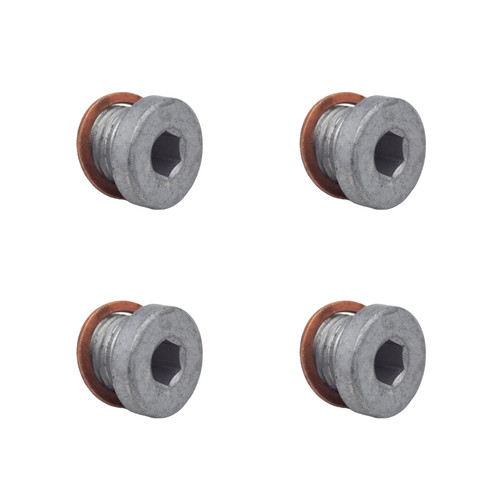 You oil screw - 4, m10