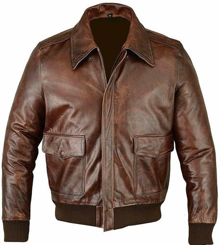 Flight aviator pilot - a2,