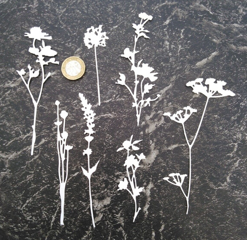 Die cut wildflowers - cut,