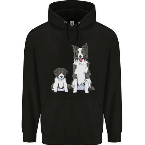 Border collie and puppy - a,