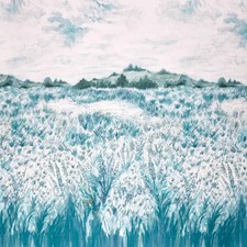 CLARKE AND CLARKE CURTAIN