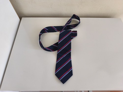 William turner school tie blue - william,