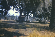 Kodak Slide 1950s Red Border