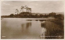 PC70716 On the Dysynni. Towyn