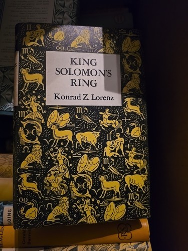 King solomon ring konrad - solomon’s,
