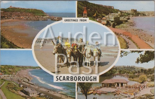 Greetings from scarborough - from,