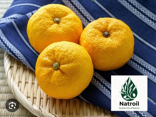 Japanese yuzu citrus - yuzu, junos