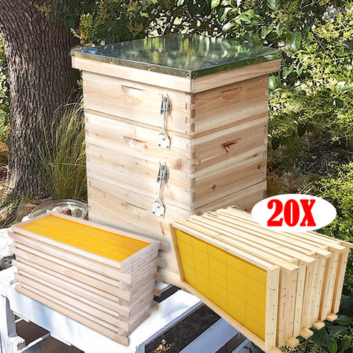 Large langstroth beehive box - large,