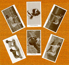 MASTIFF SET OF SIX NAMED DOG