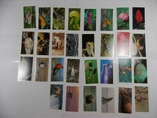 Grandee Cigar Cards Wonders of