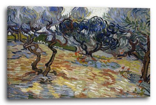 Canvas frames vincent - canvas/frames, van