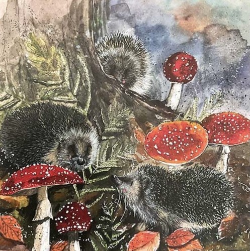 Alex clark hedgehogs - clark,