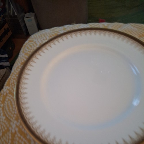 Paragon athena dinner plate - paragon,