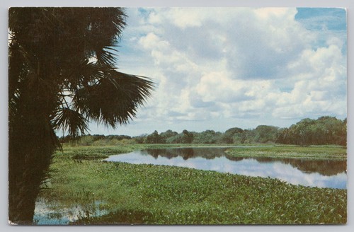 Postcard upper lake myakka - upper,